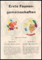 Die ersten Faunengemeinschaften philatelistischen Exponat bei Rudolf Hofer, Schweiz